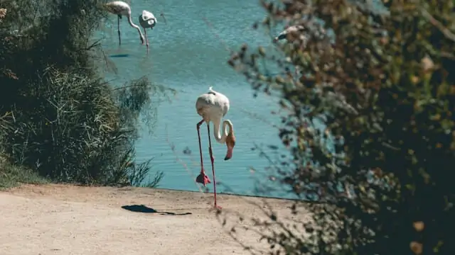 Les bienfaits du massage relaxant