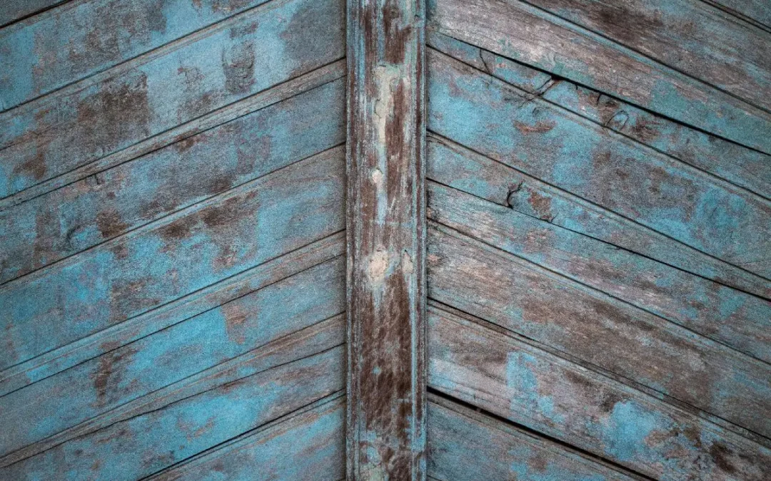 Les Cinq Éléments : 5 paysages intérieurs pour mieux se connaître