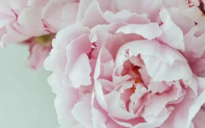 La Cohérence Cardiaque