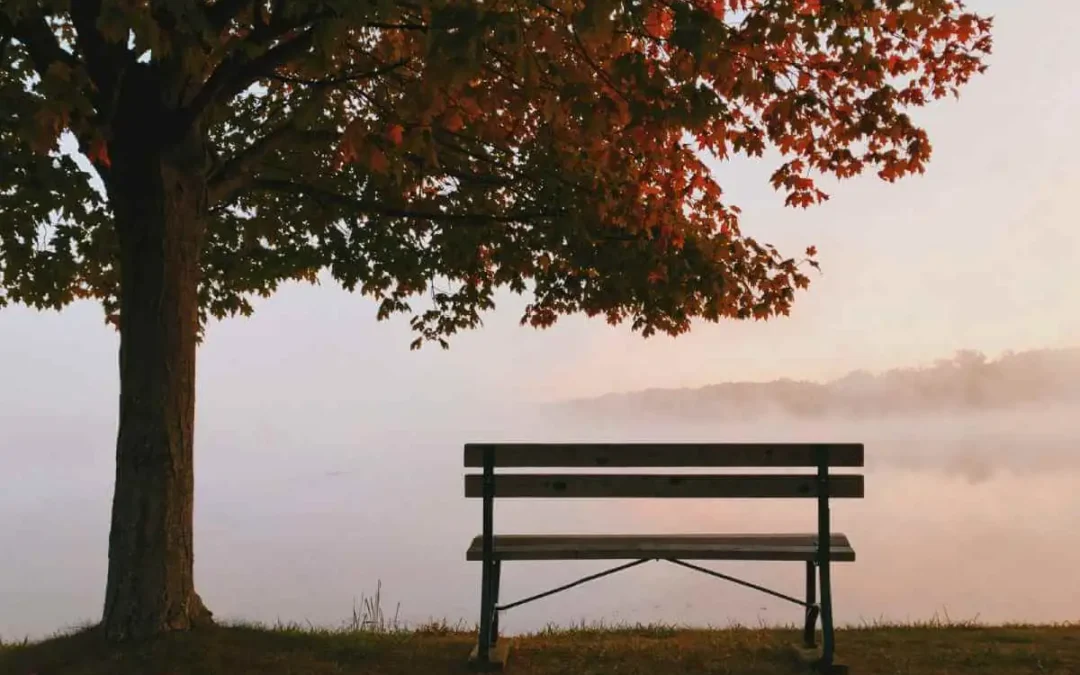 L’Automne en Médecine Traditionnelle Chinoise
