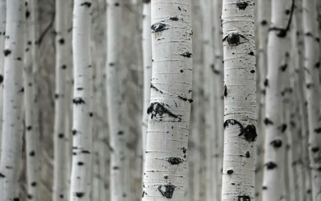 Se réconcilier avec son corps