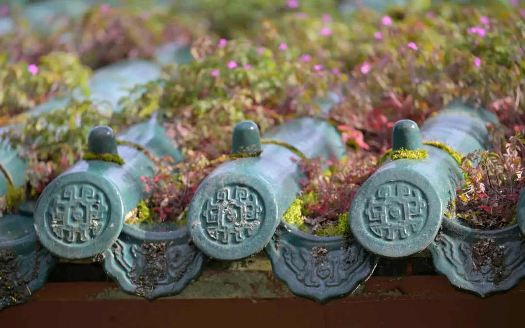 Les bienfaits de la Gratitude