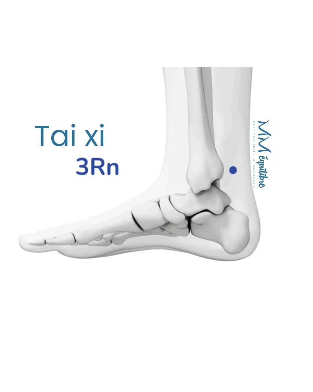 point accupression rn 3 tai xi mméquilibre