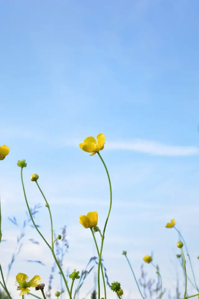 Médecine Traditionnelle Chinoise et réflexologie à Cournonsec