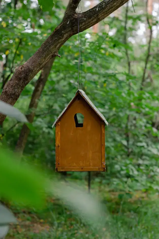 Bienfaits de la réflexologie et du massage pour les habitants de Cournonsec