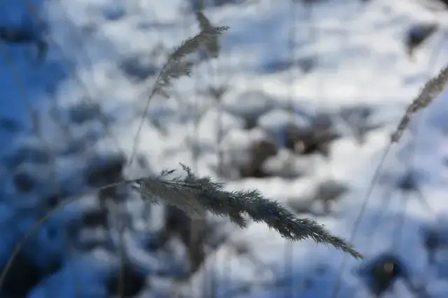 Séance de réflexologie plantaire au cabinet MM équilibre, Gigean