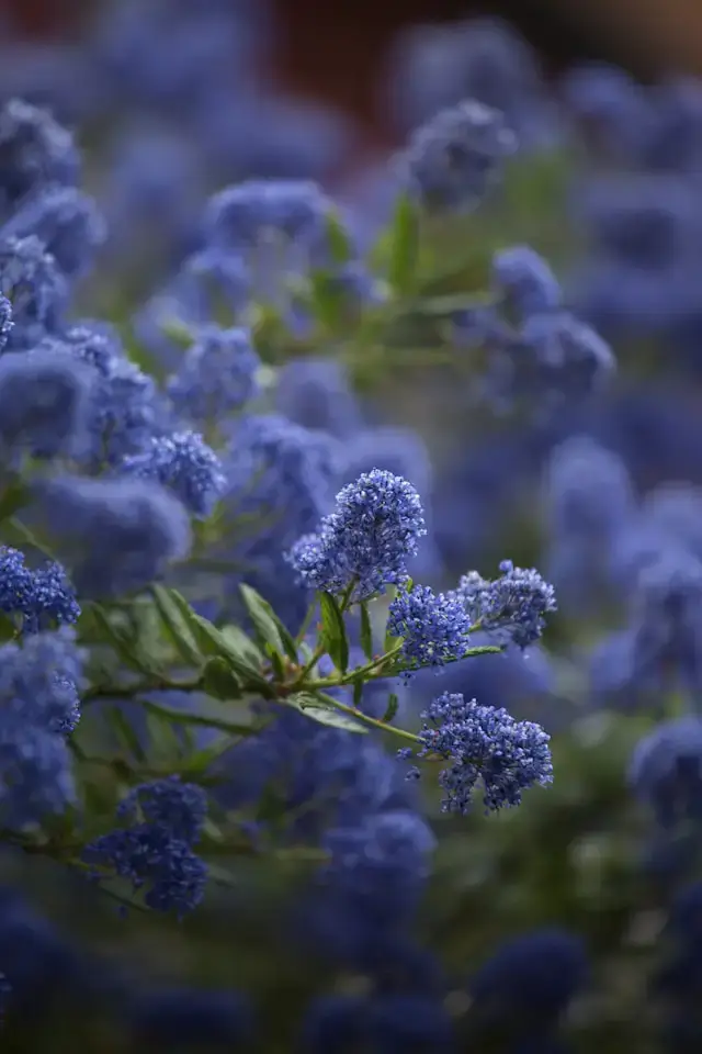 Séance de réflexologie et massage au cabinet MM équilibre
