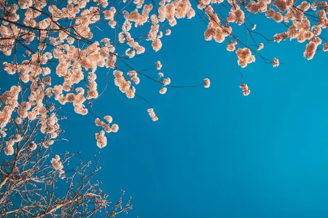 Réflexologie et massage à Villeveyrac, séance au cabinet MM équilibre